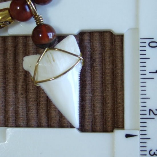 【表示現品】大型メジロザメの歯 ペンダント - 21101zhb