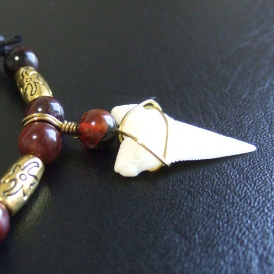 【表示現品】大型メジロザメの歯 ペンダント - 21101zhb