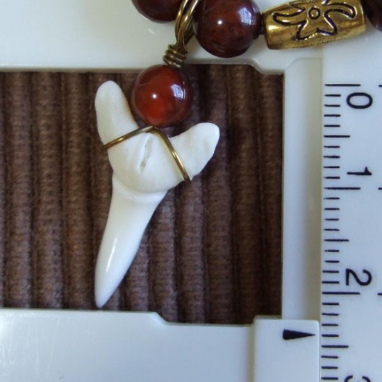 【表示現品】大型メジロザメの歯 ペンダント - 21102zhb