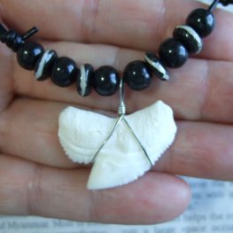 【レアもの現品】」イタチザメ（タイガーシャーク）の歯ペンダント 2.8 cm - 21107zhb