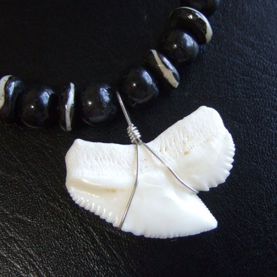 【レアもの現品】」イタチザメ（タイガーシャーク）の歯ペンダント 2.8 cm - 21107zhb