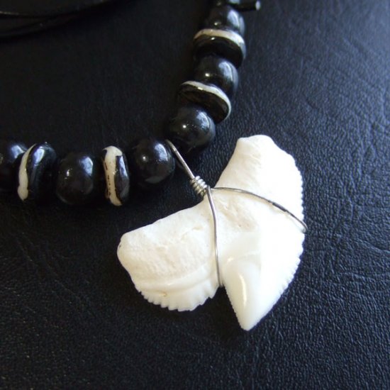 【レアもの現品】」イタチザメ（タイガーシャーク）の歯ペンダント 2.8 cm - 21107zhb