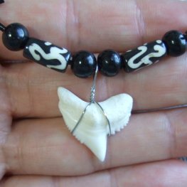 【表示現品】2.4cm 本物のイタチザメ サメの歯ビーズネックレス - 21113zhb