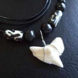 【表示現品】2.4cm 本物のイタチザメ サメの歯ビーズネックレス - 21113zhb