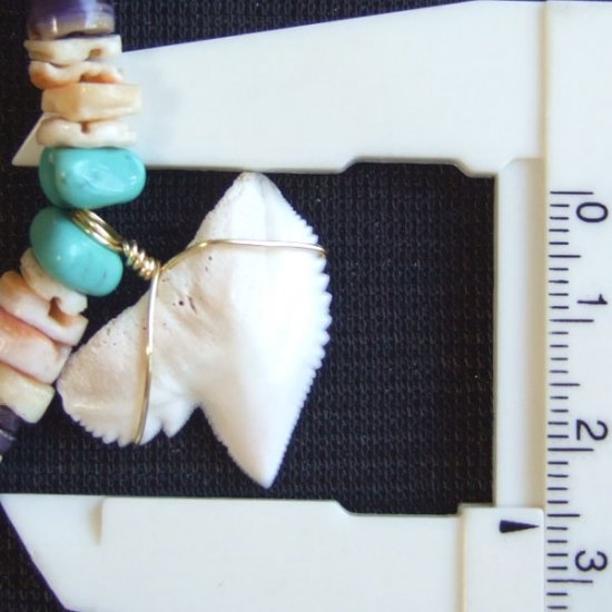 【表示現品】2.5cm タイガーシャークの歯 ビーズネックレス - 21115zhb