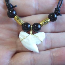 【表示現品】2.3cm 本物のイタチザメ サメの歯ビーズネックレス - 21117zhb