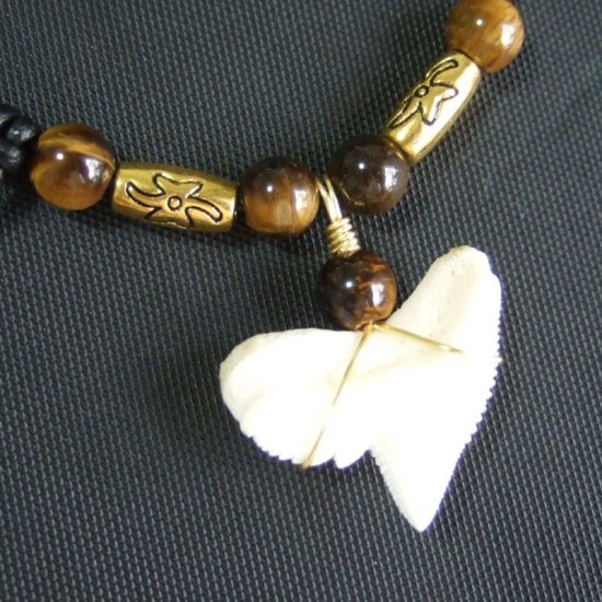 【表示現品】」イタチザメ（タイガーシャーク）の歯ネックレス 2.2 cm - 21125zhb