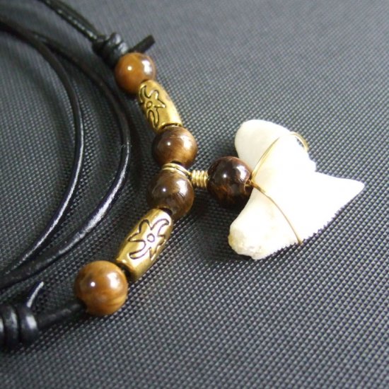 【表示現品】」イタチザメ（タイガーシャーク）の歯ネックレス 2.2 cm - 21125zhb