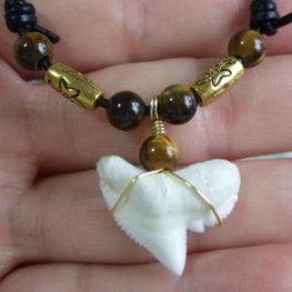 【表示現品】」イタチザメ（タイガーシャーク）の歯ネックレス 2.2 cm - 21125zhb