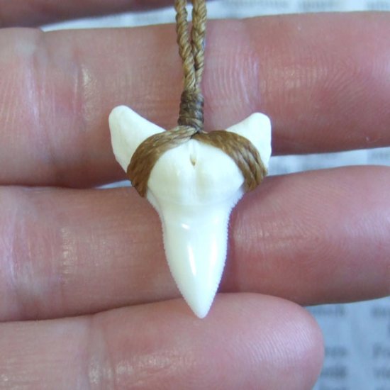 【表示現品】2.6.cm 大型オオメジロザメの歯ペンダント - 21152zhb