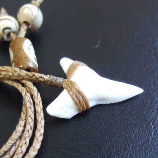 【表示現品】2.6.cm 大型オオメジロザメの歯ペンダント - 21152zhb