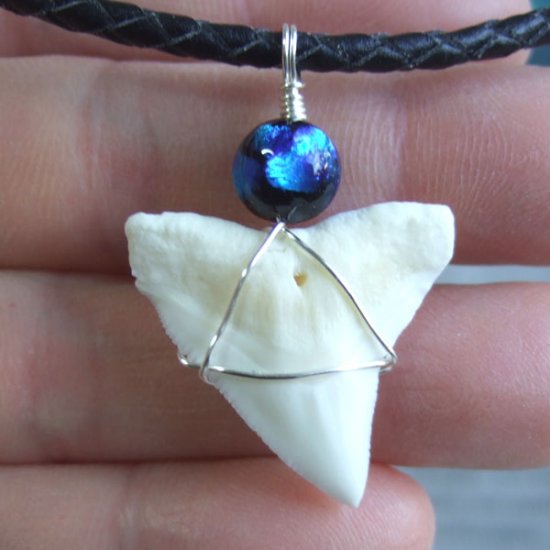 【表示現品】メジロザメの歯 ほたる玉ペンダントトップ - 21168zhb