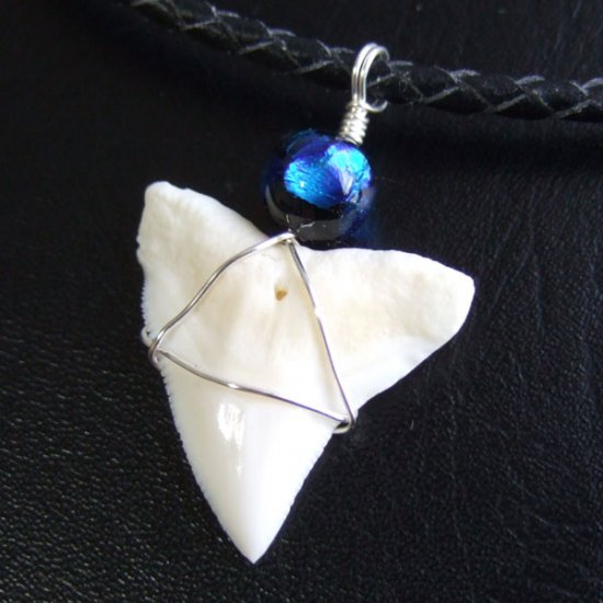 【表示現品】メジロザメの歯 ほたる玉ペンダントトップ - 21168zhb