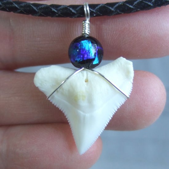 【表示現品】メジロザメの歯 ほたる玉ペンダントトップ - 21171zhb