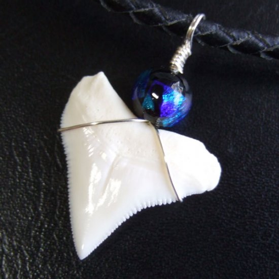 【表示現品】メジロザメの歯 ほたる玉ペンダントトップ - 21171zhb