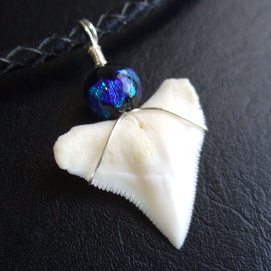 【表示現品】メジロザメの歯 ほたる玉ペンダントトップ - 21171zhb