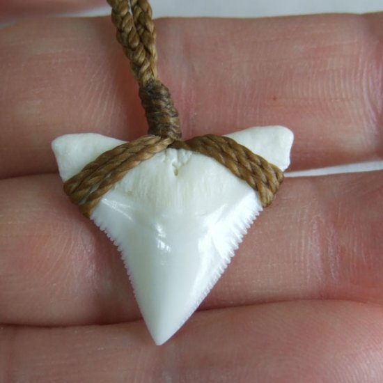 【表示現品】2.5.cm 大型オオメジロザメの歯ペンダント - 21180zhb