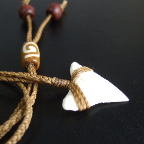 【表示現品】2.5.cm 大型オオメジロザメの歯ペンダント - 21180zhb