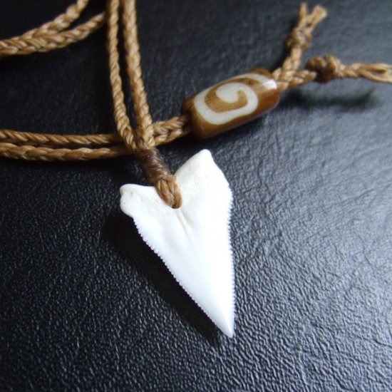 【表示現品】2.1.cm オオメジロザメの上あごの歯ペンダント - 21186zhb