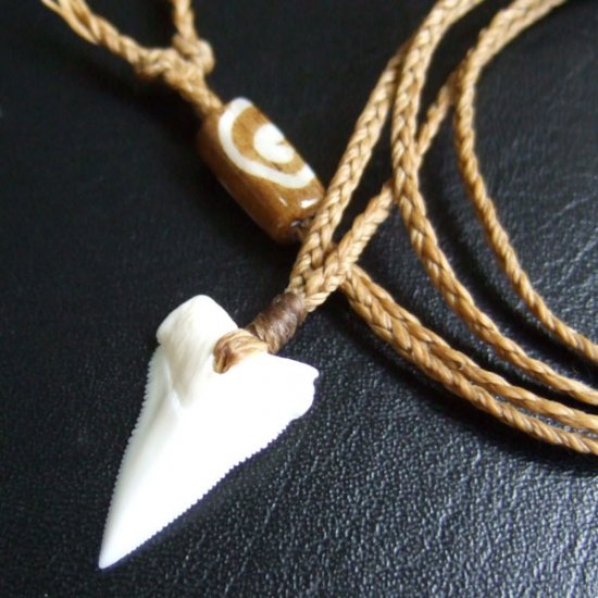 【表示現品】2.1.cm オオメジロザメの上あごの歯ペンダント - 21186zhb