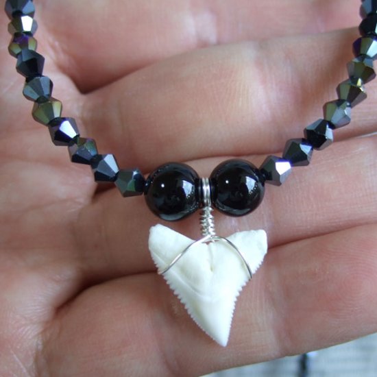 【表示現品】1.9cm メジロザメの歯ネックレス（上あごの歯） - 21194zhb