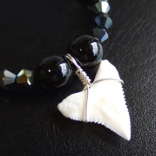 【表示現品】1.9cm メジロザメの歯ネックレス（上あごの歯） - 21194zhb