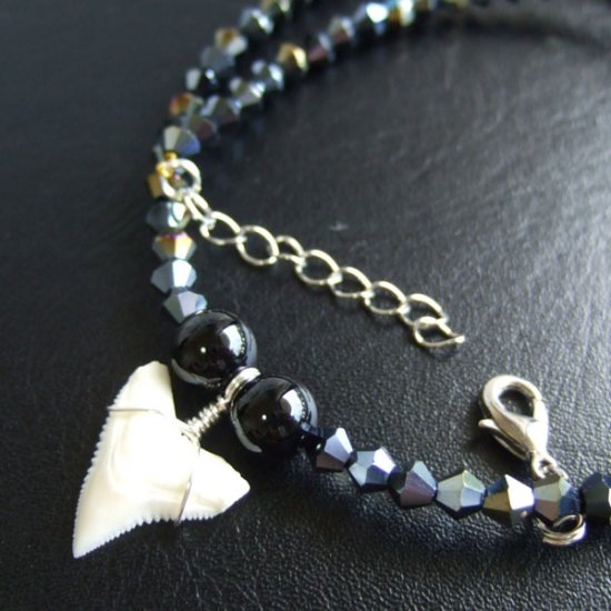 【表示現品】1.9cm メジロザメの歯ネックレス（上あごの歯） - 21194zhb