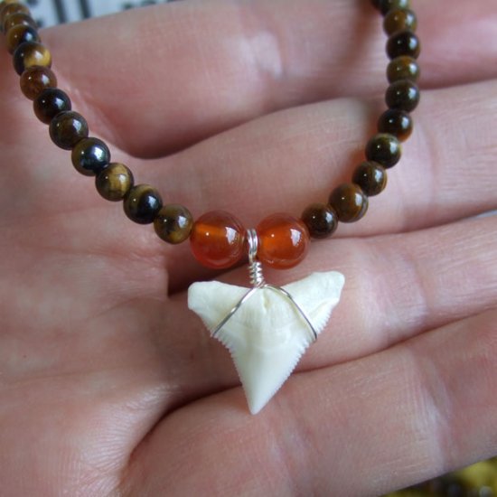 【表示現品】1.8cm メジロザメの歯ネックレス（上あごの歯） - 21200zhb