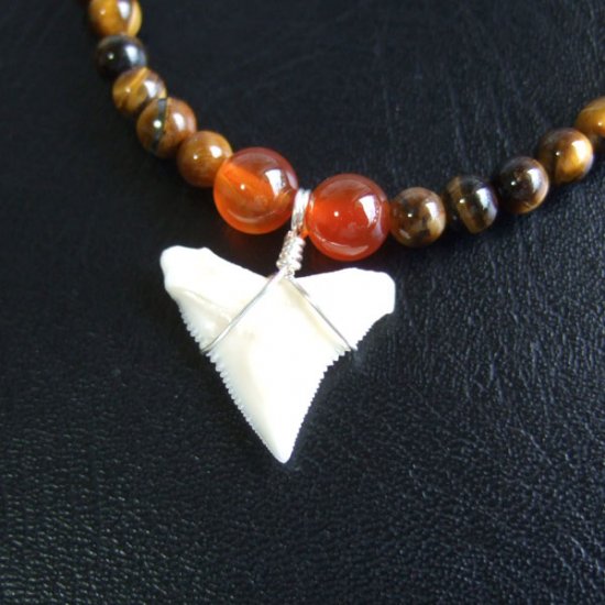 【表示現品】1.8cm メジロザメの歯ネックレス（上あごの歯） - 21200zhb