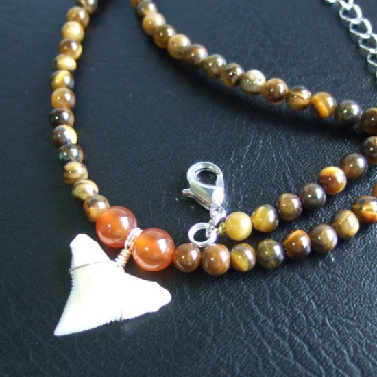 【表示現品】1.8cm メジロザメの歯ネックレス（上あごの歯） - 21200zhb