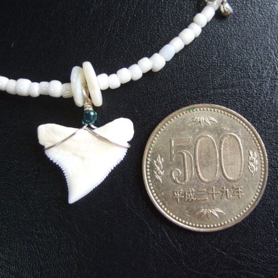 メジロザメの歯 ビーズネックレス - 21207zhb