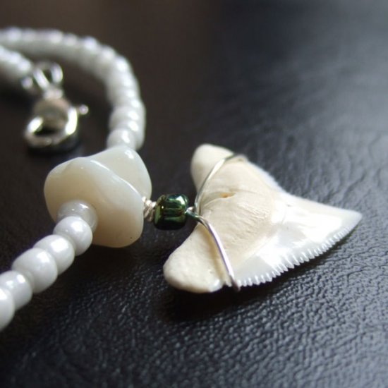 メジロザメの歯 ビーズネックレス - 21207zhb