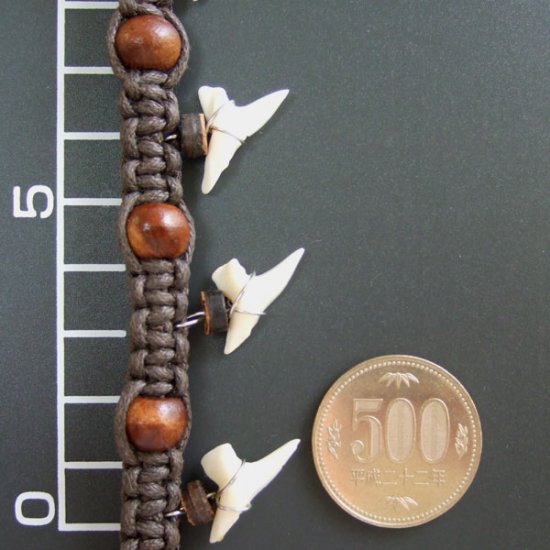 本物のサメの歯アンクレット - 27007esw