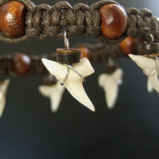 本物のサメの歯アンクレット - 27007esw