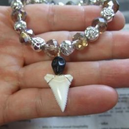 【訳あり】ホオジロザメのサメの歯ブレスレット - 27099zhc
