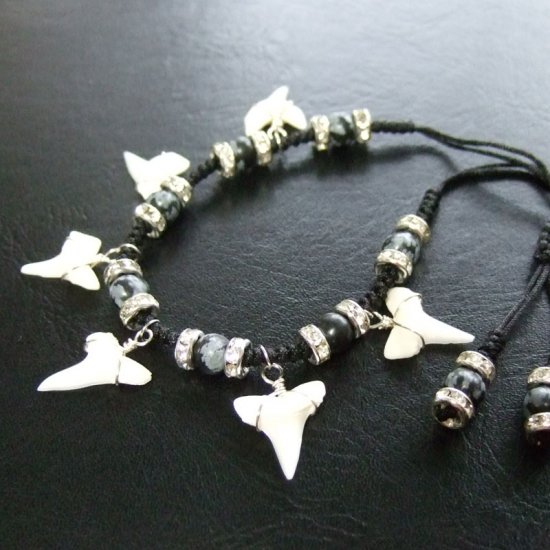 本物のサメの歯（アオザメ）ブレスレット - 27111zhb