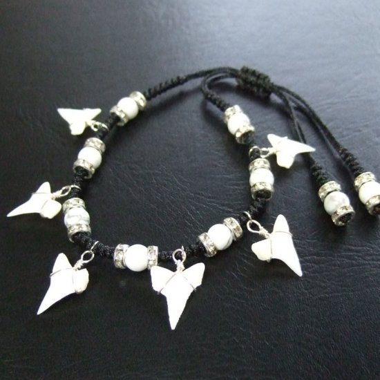 本物のサメの歯（アオザメ）ブレスレット - 27112zhb