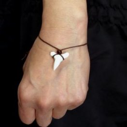 メジロザメ サメの歯コードブレスレット（下あご大） - 27151zhb