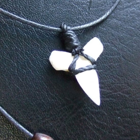 メジロザメ サメの歯コードブレスレット（下あご小） - 27157zhb