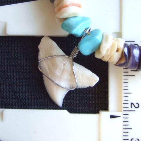 【表示現品】オオメジロザメ　ビーズブレスレット - 27199zhb