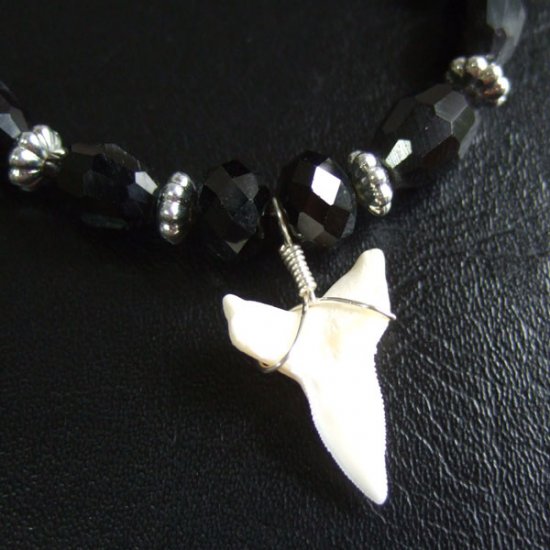 【表示現品】メジロザメの歯　ビーズ ブレスレット - 27211zhb