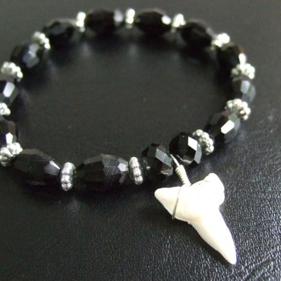 【表示現品】メジロザメの歯　ビーズ ブレスレット - 27211zhb