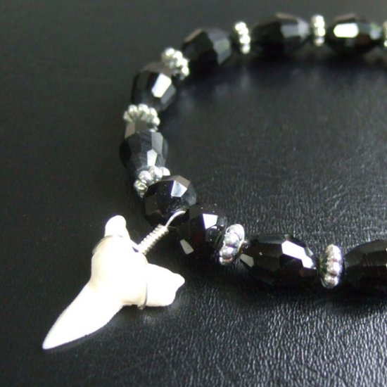 【表示現品】メジロザメの歯　ビーズ ブレスレット - 27211zhb