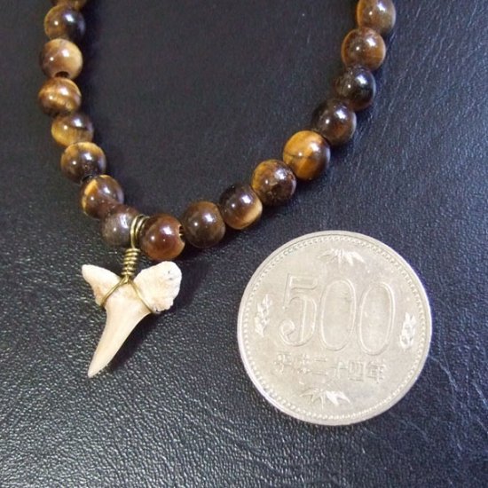 【表示現品】シロワニの仲間の歯の化石　タイガーアイビーズブレスレット - 30296zhb