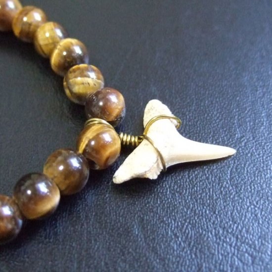 【表示現品】シロワニの仲間の歯の化石　タイガーアイビーズブレスレット - 30296zhb