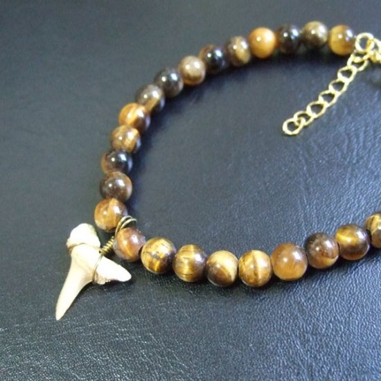 【表示現品】シロワニの仲間の歯の化石　タイガーアイビーズブレスレット - 30296zhb