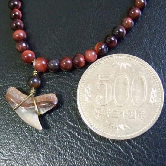 【表示現品】タイガーシャークの歯の化石　タイガーアイビーズブレスレット - 30297zhb