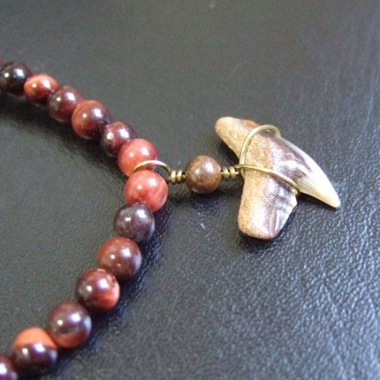 【表示現品】タイガーシャークの歯の化石　タイガーアイビーズブレスレット - 30297zhb