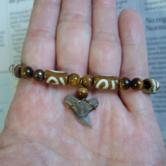 【表示現品】タイガーシャークの歯の化石　ビーズブレスレット - 30298zhb