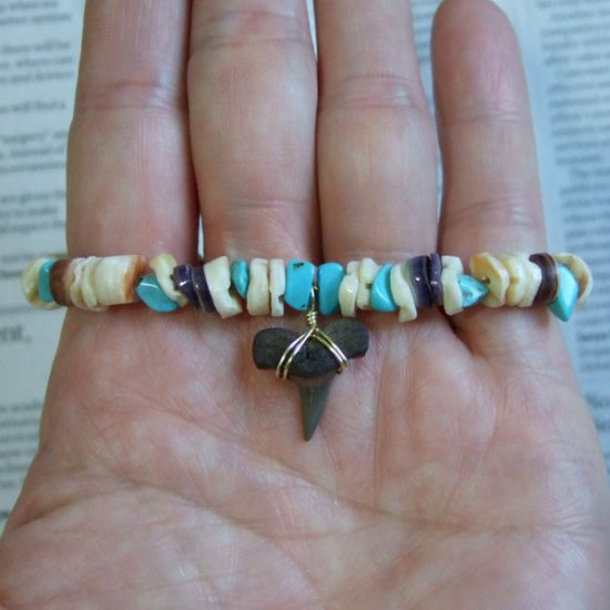 【表示現品】サメの歯化石　ビーズブレスレット - 30299zhb